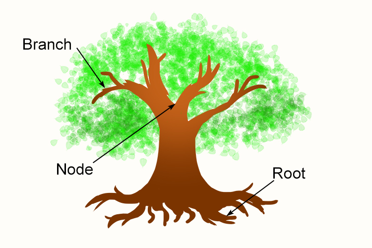 A picture of a tree showing how similar the branch, nodes and roots of the phylogenic tree